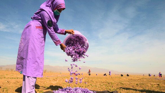 Premium Safran aus Herat – ISO 3632 Grad I, 5 g